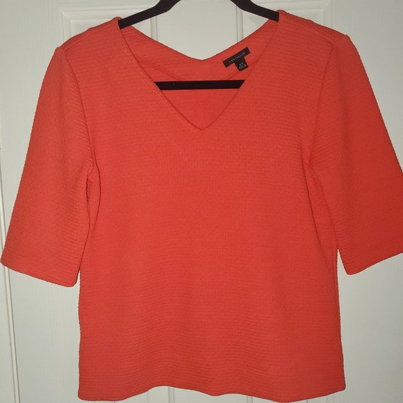 Ann Tayor skirt and top - Picture 1 of 8